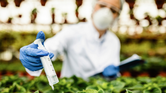 Integrated Pest Management