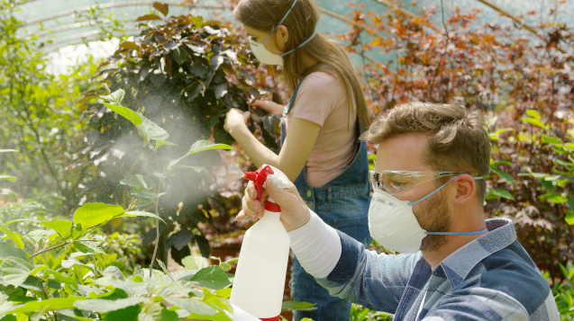 Regulations and Safety