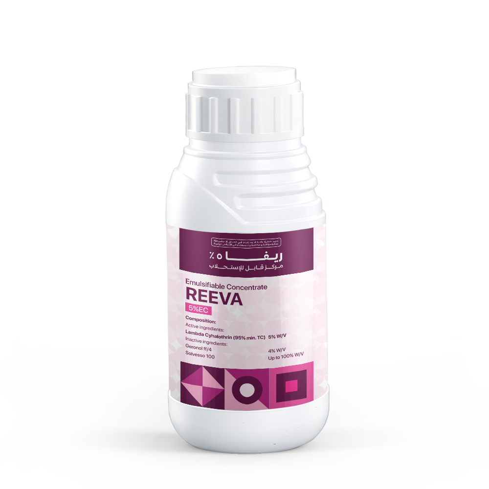 REEVA